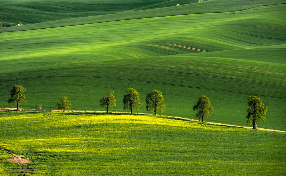 Photograph by ПАВЕЛ