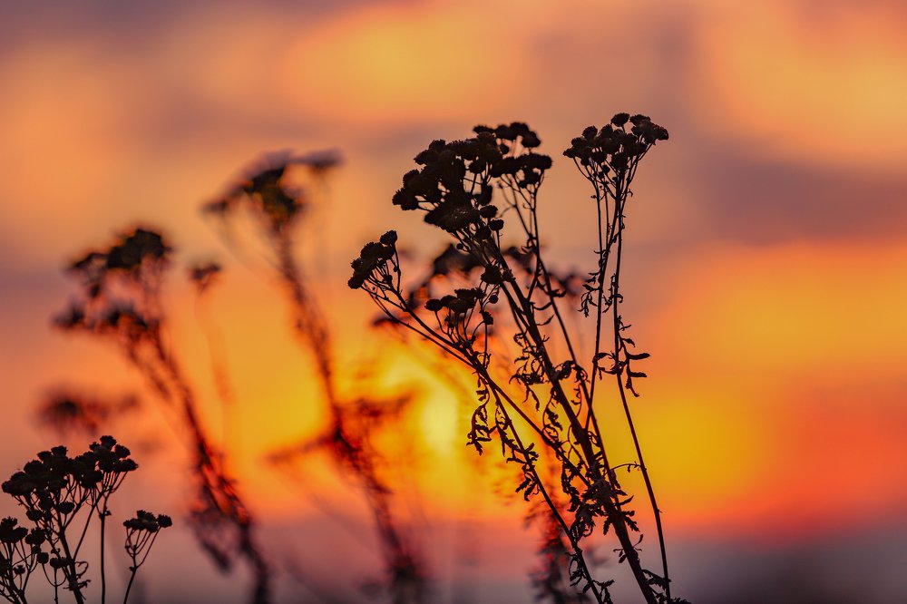 Один осенний закат на даче...