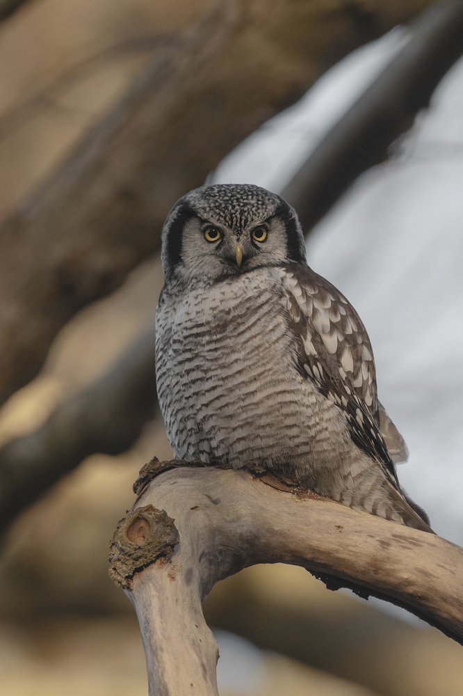 Photograph by Ernestas Balcikonis