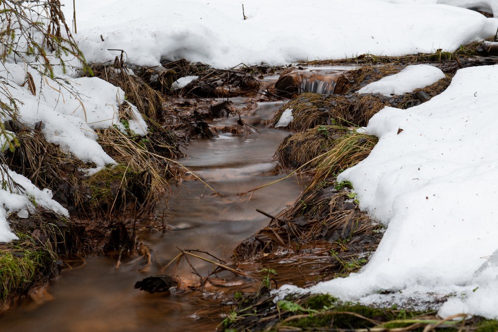 Photograph by Альбина Рычкова
