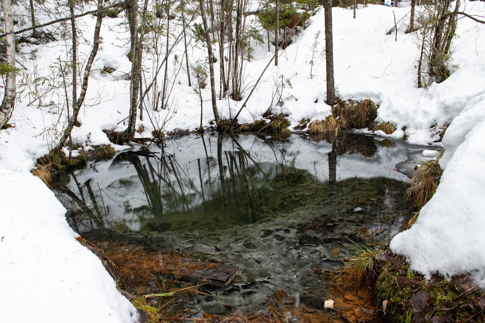 Photograph by Альбина Рычкова