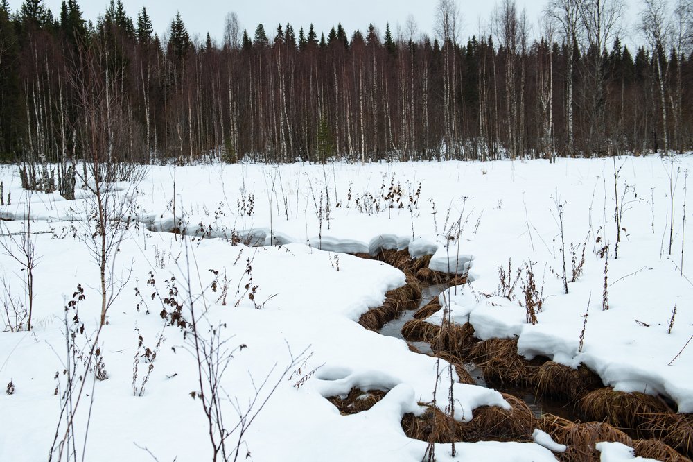 Photograph by Альбина Рычкова
