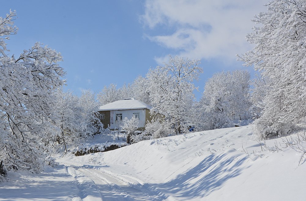 Деревенский покой