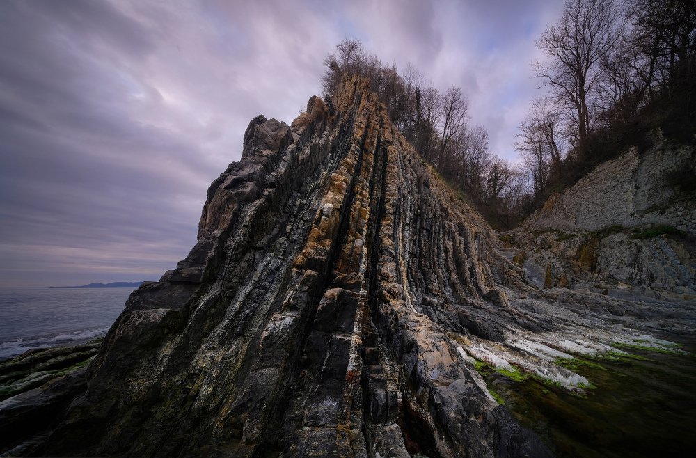 Фотография автора Алексей Бордуков