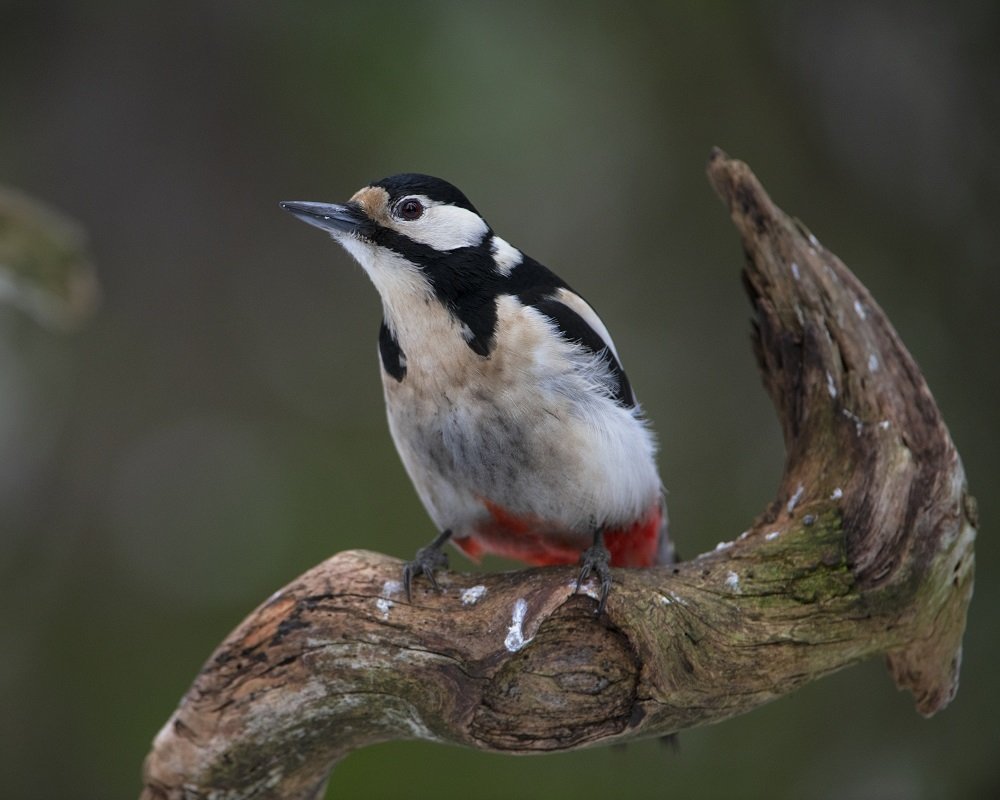 Photograph by Ernestas Balcikonis