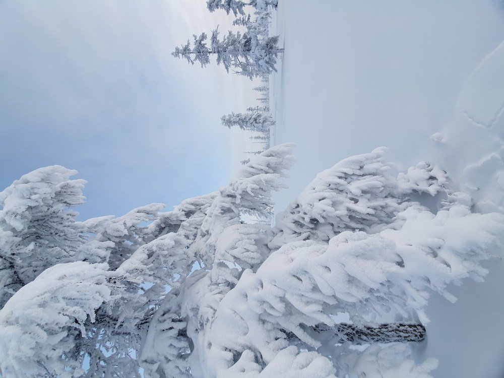 Photograph by Антон Жирнов