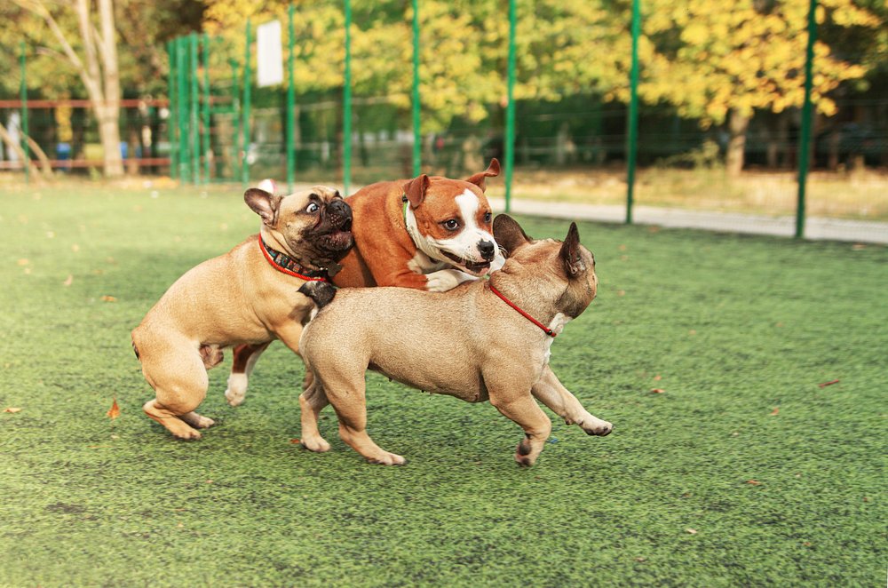 Photograph by Титаренко Ольга