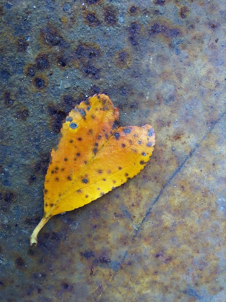 Photograph by Ксения