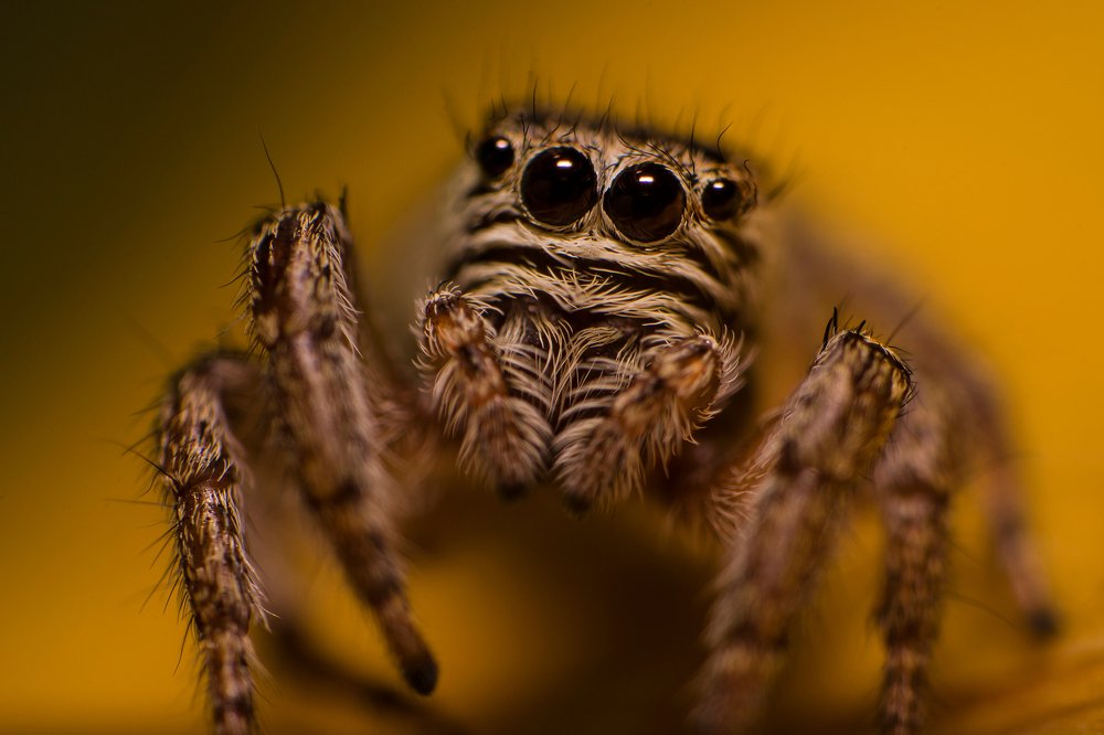 Photograph by Рустам Афлятунов