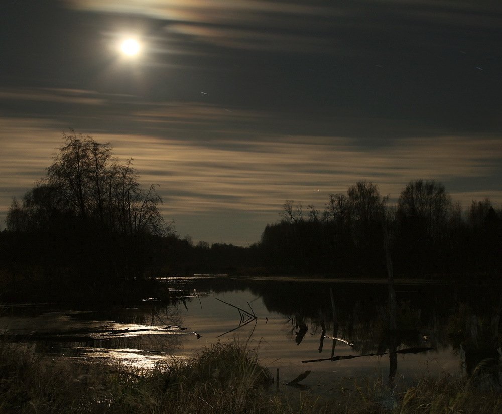 Photograph by Олег Фокин