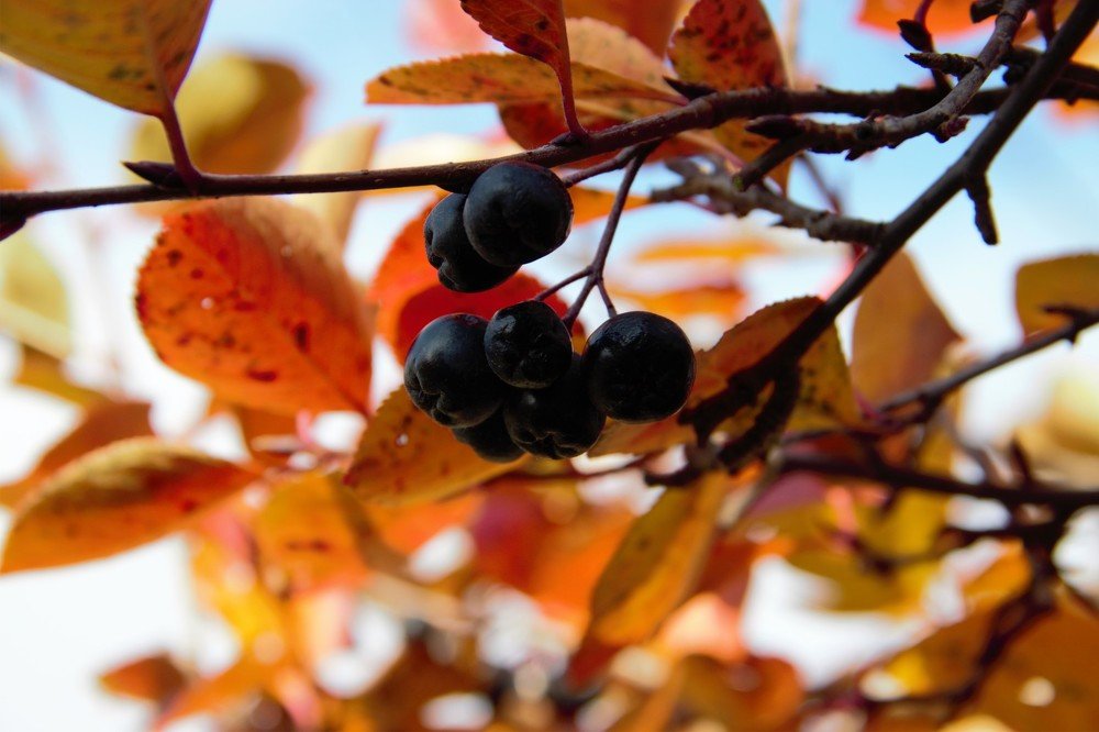 Photograph by Ксения