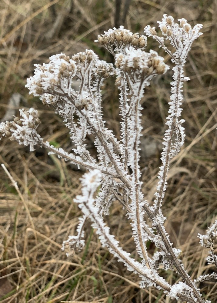 Photograph by Ольга Цветкова