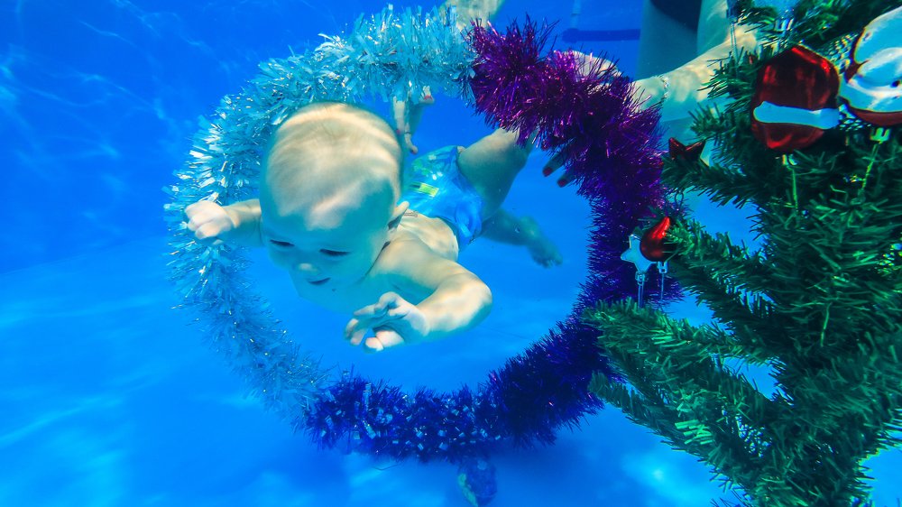 подводный мир