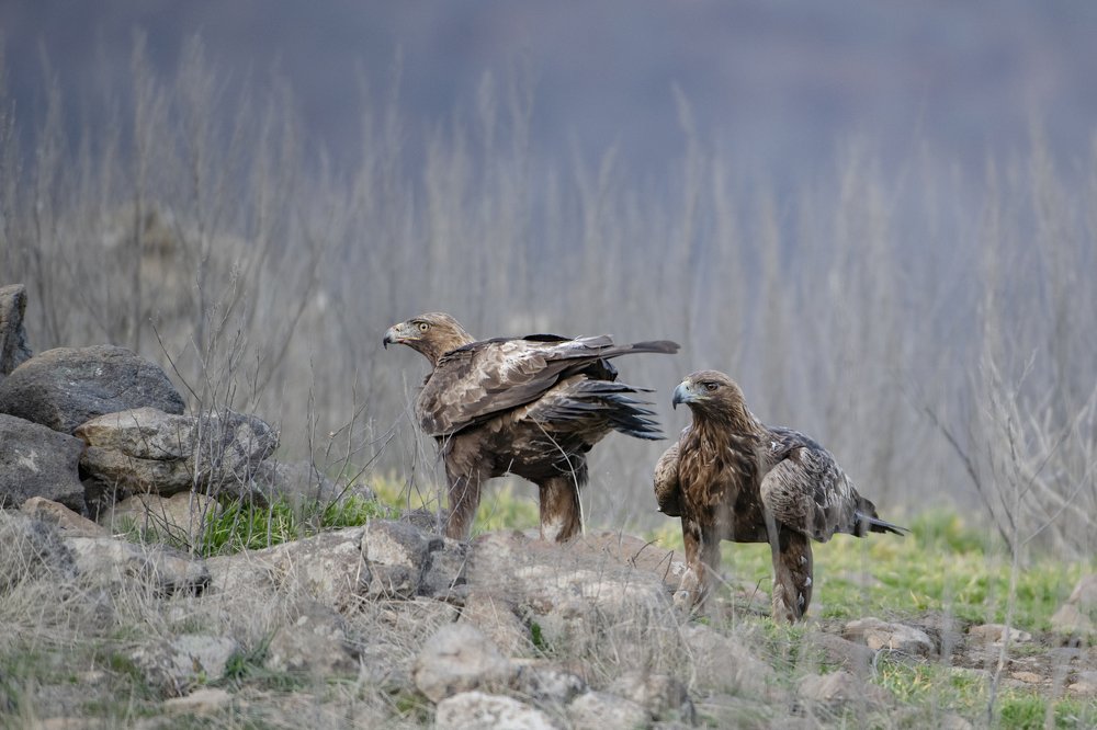 Photograph by Ernestas Balcikonis