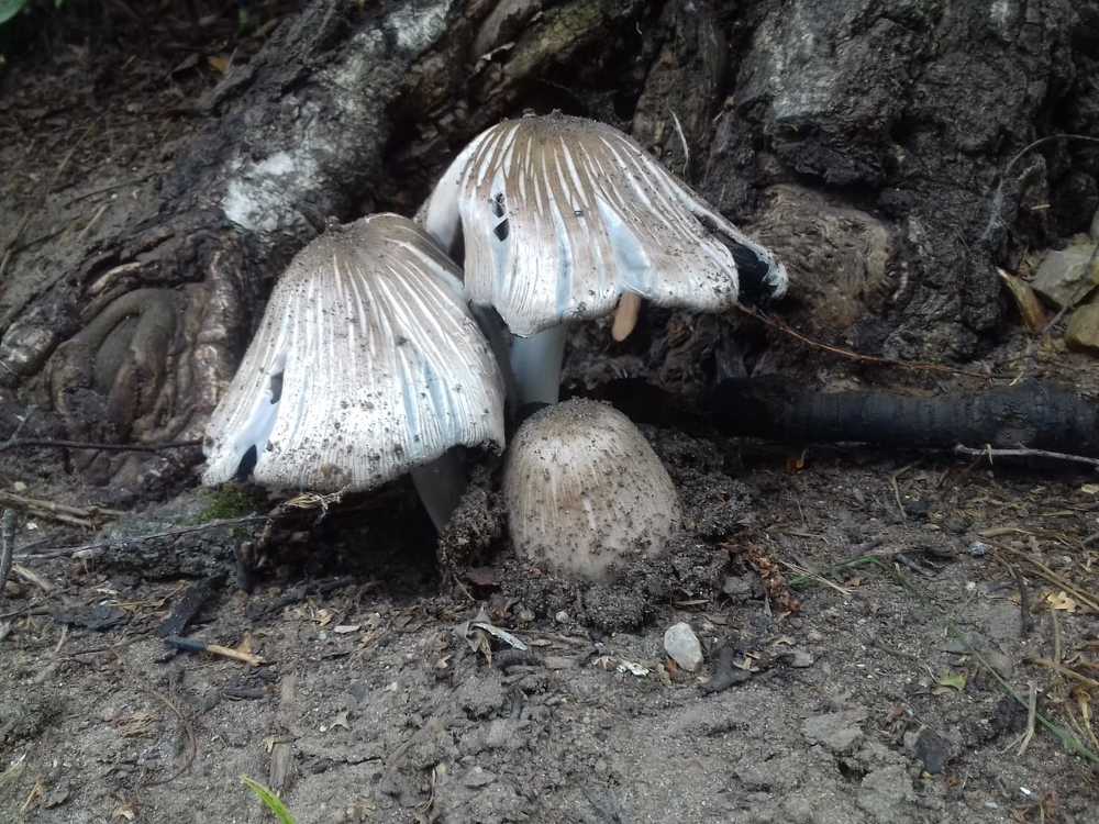 Фотография автора Владислава Андрюнина