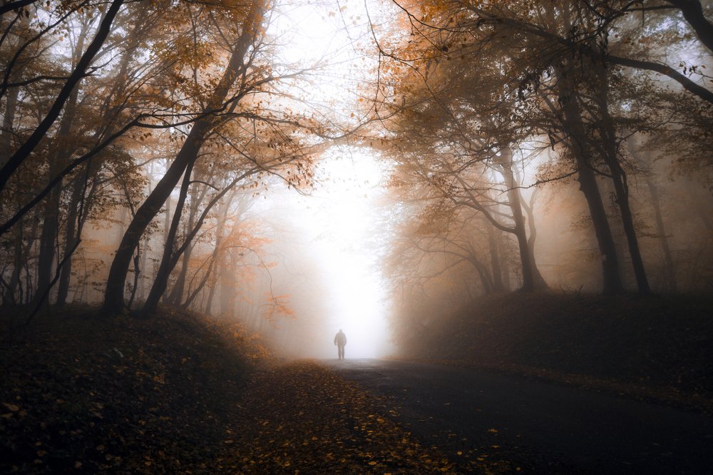 Photograph by Danica Markez