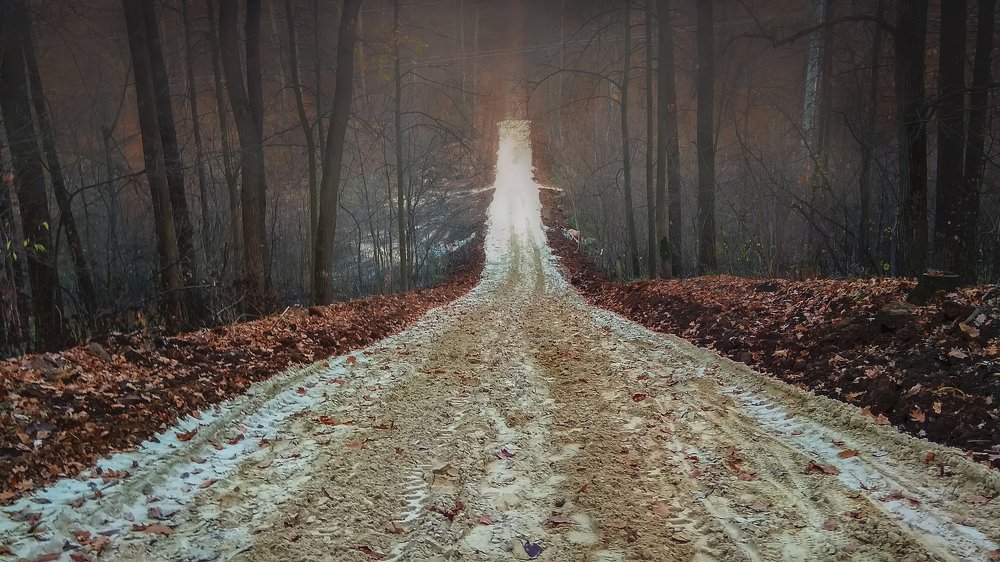 Photograph by Мілена Ковальська