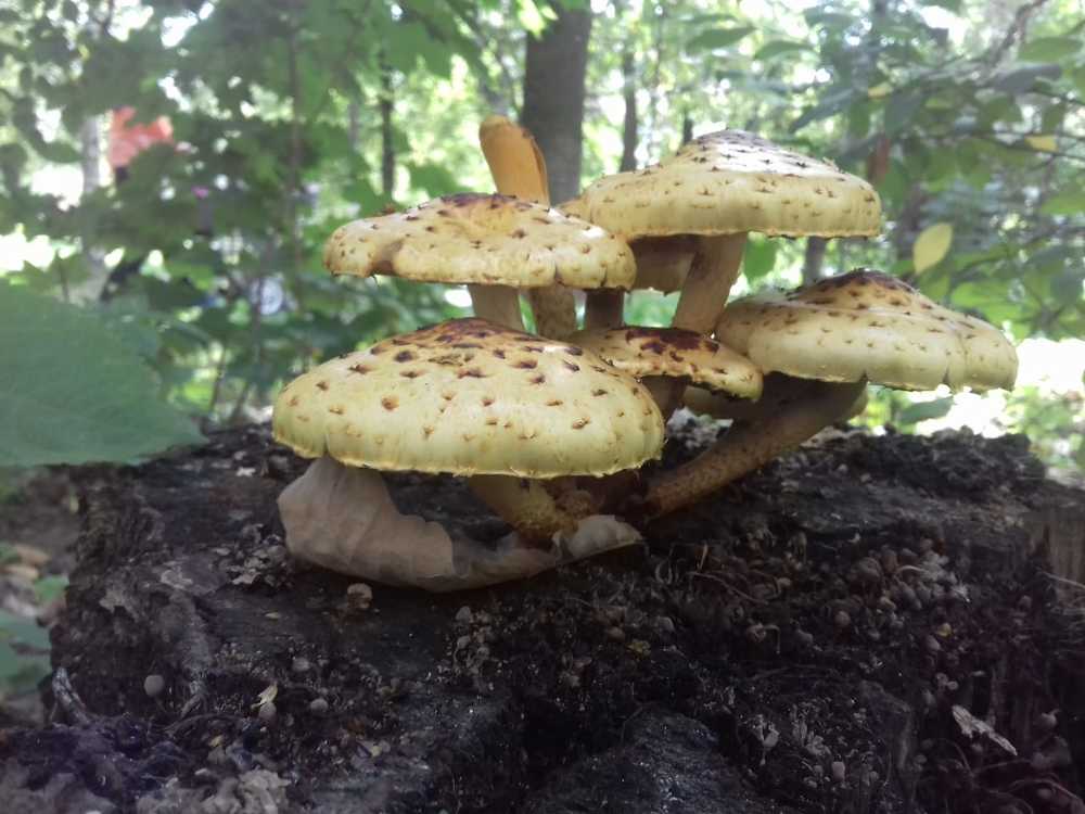 Фотография автора Владислава Андрюнина