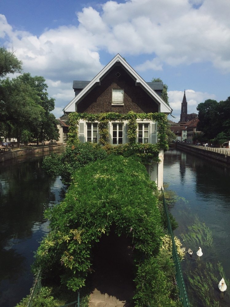 Photograph by Aleksandr Korotkov