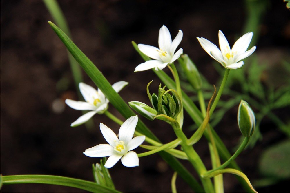 Photograph by Ксения