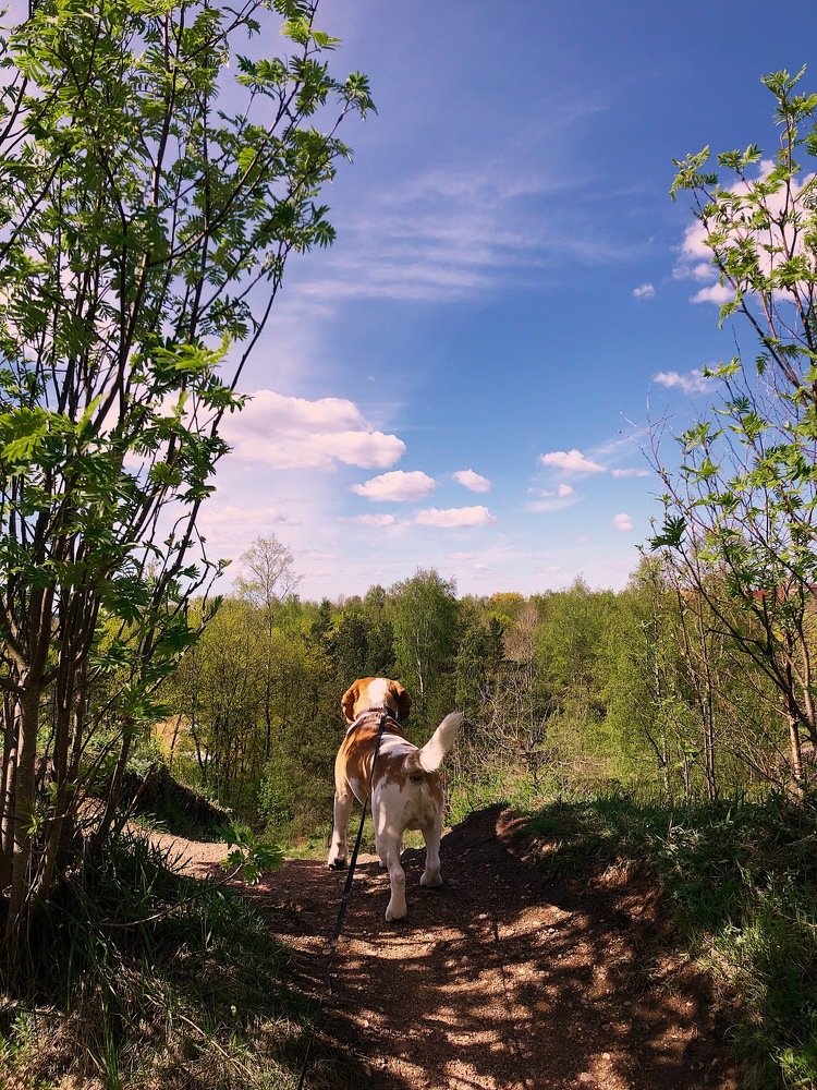 Photograph by Татьяна Синельникова