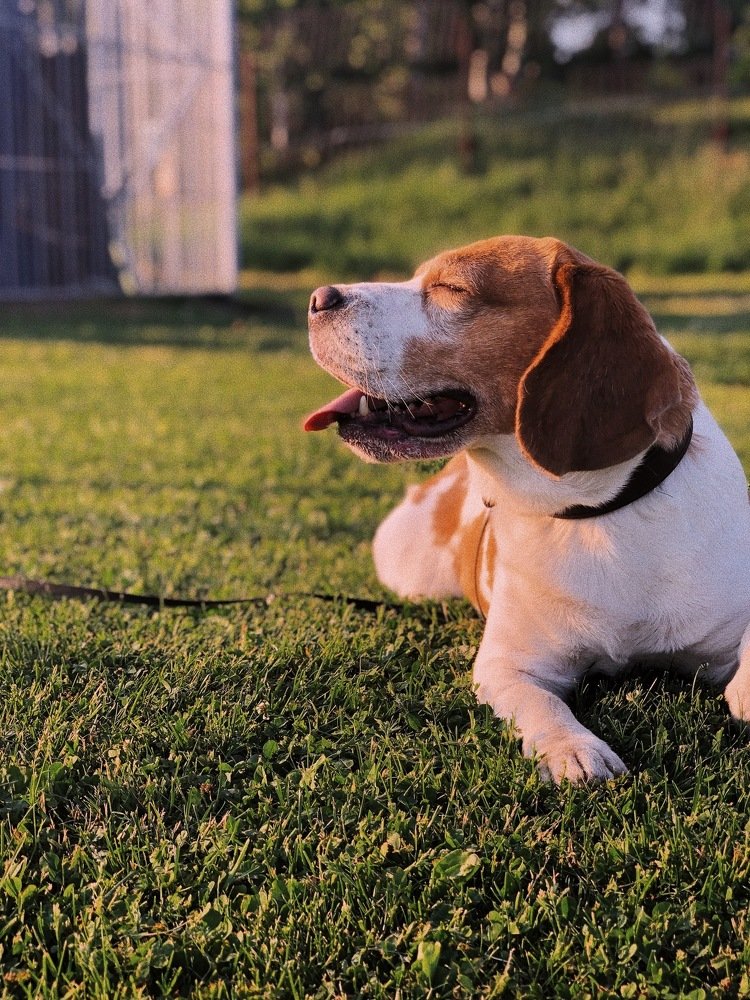 Photograph by Татьяна Синельникова