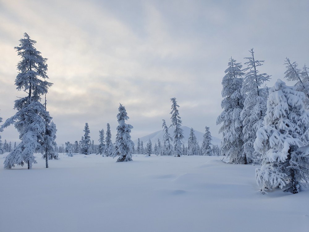 Photograph by Антон Жирнов