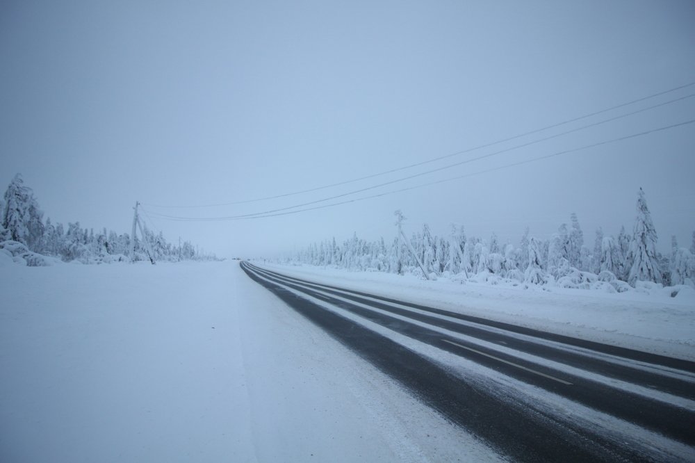 Photograph by Солонин Андрей