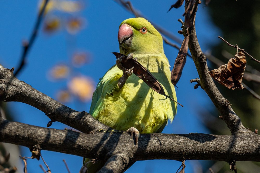 Photograph by Игорь Калинин