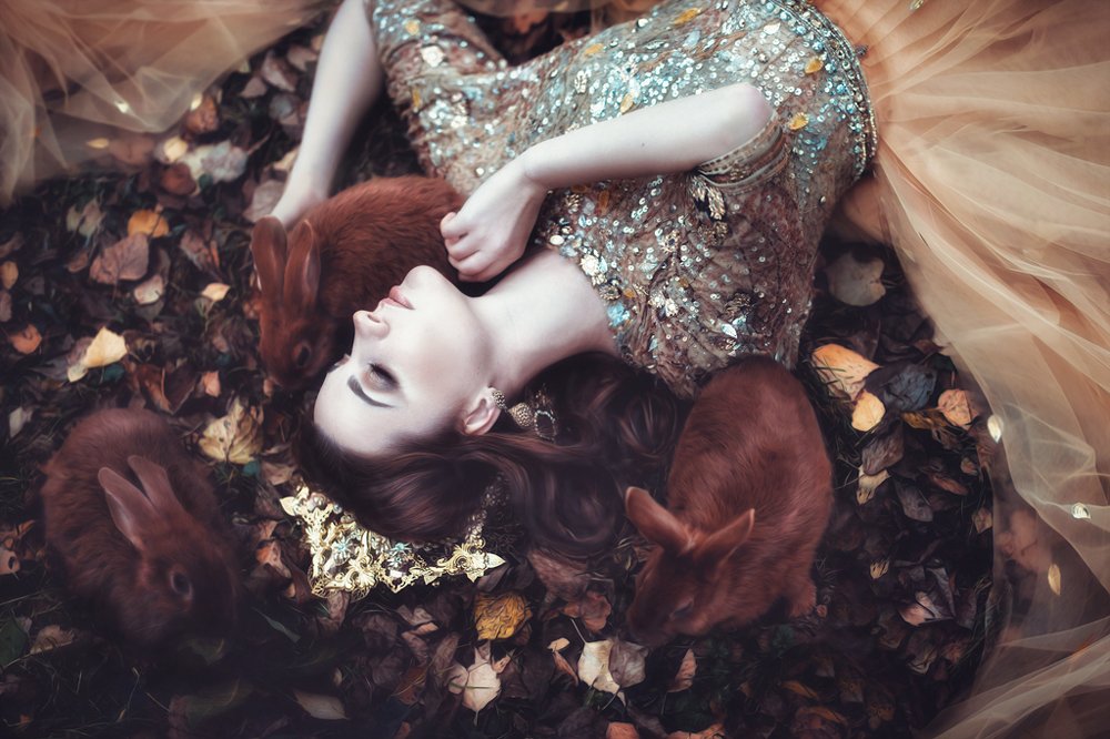 Photograph by Галина Забрускова