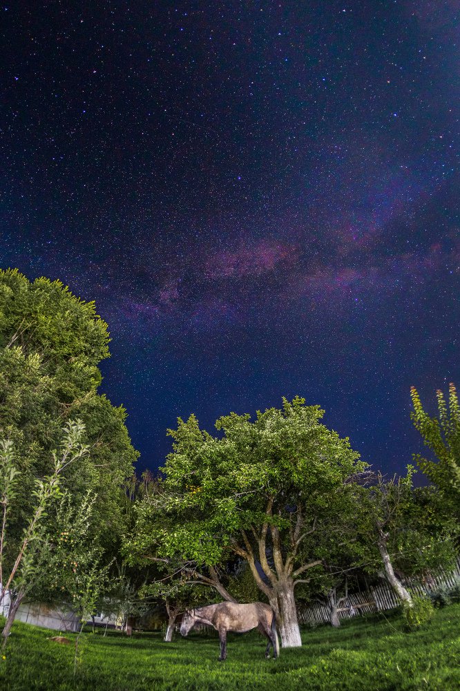 Photograph by Евгений Мезенцев