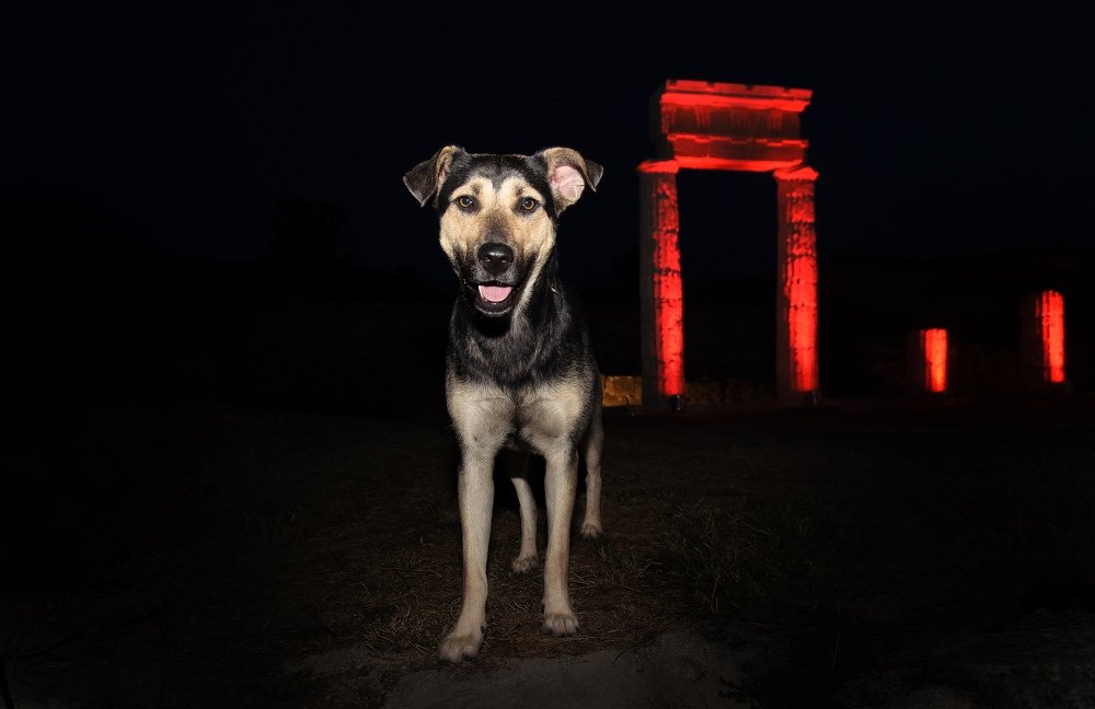 Архонт. Отважный страж нетленных сводов Пританея.