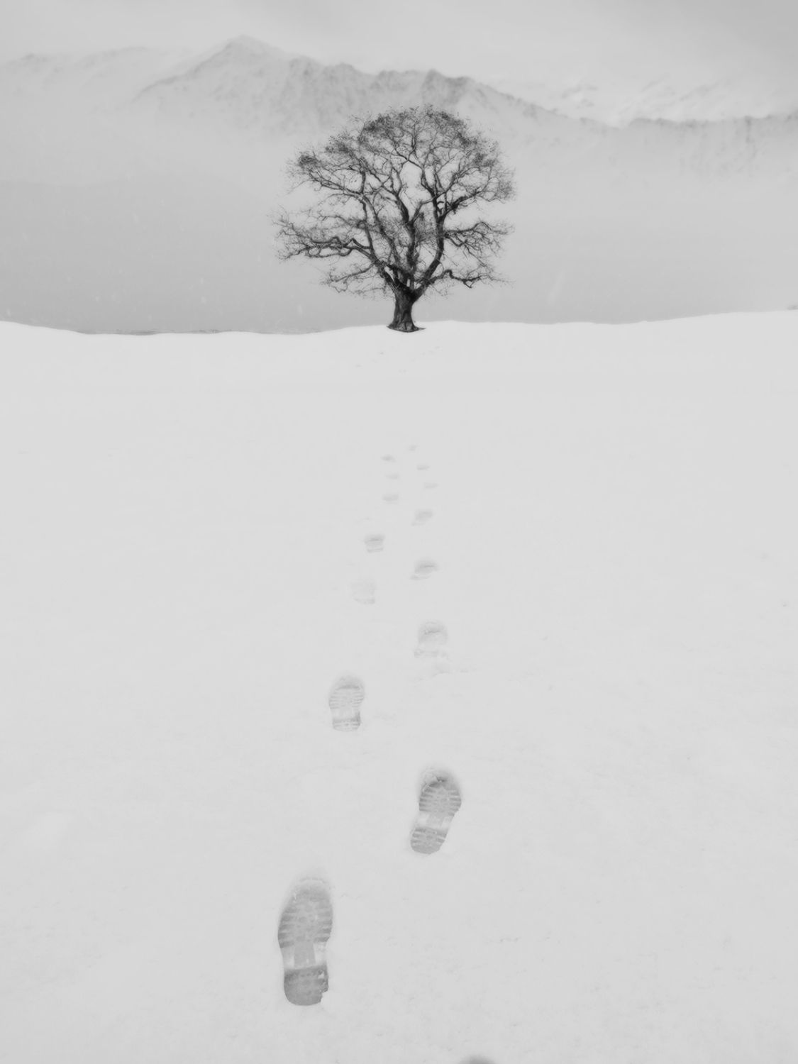 Фотография #4420030