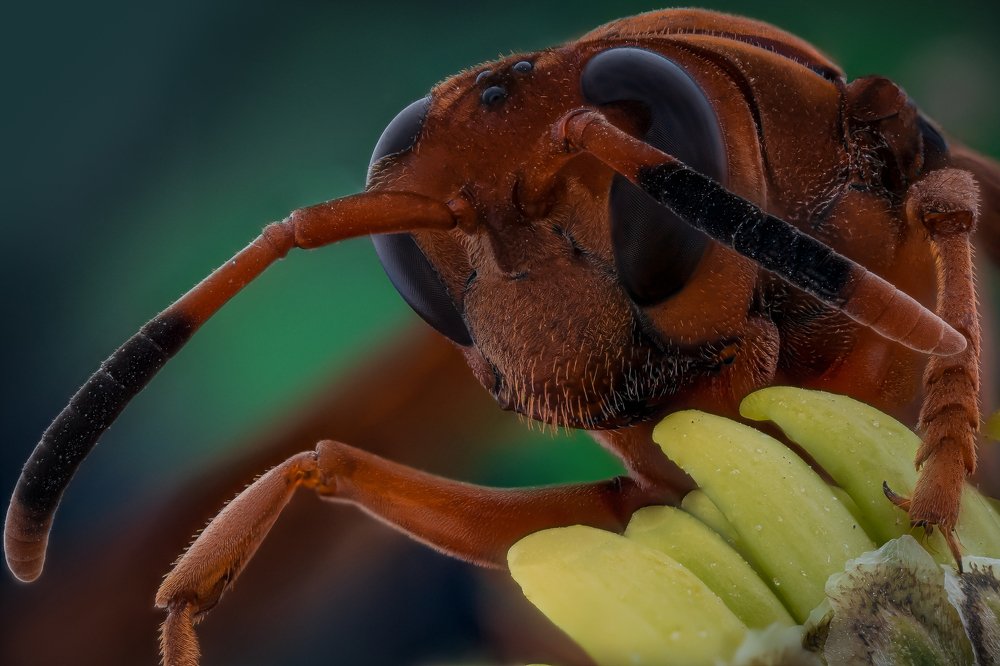 Photograph by Norberto Martínez