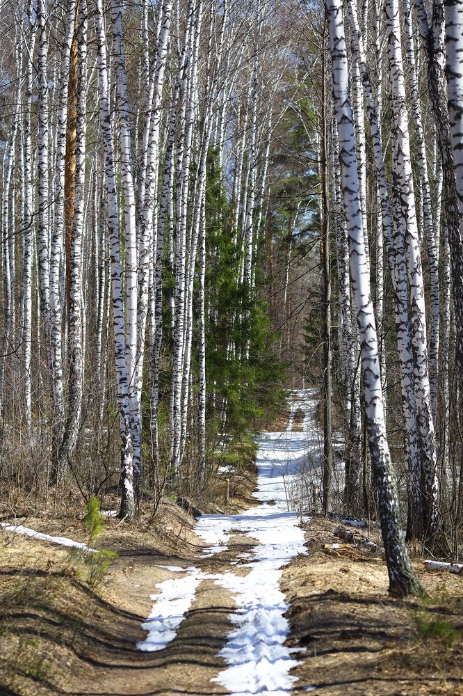 Photograph by Олеся Хафизова