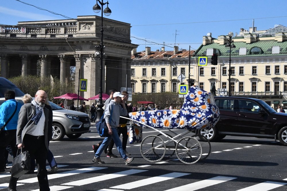 Photograph by Владимир Романов