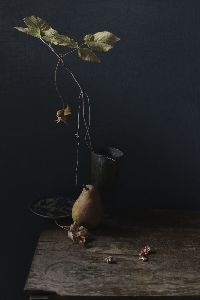 Фотография автора Коршак Елена