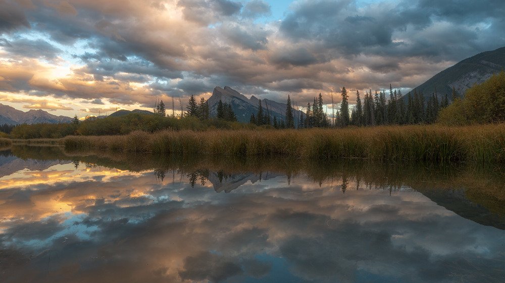 Фотография автора Emelyanov Alex