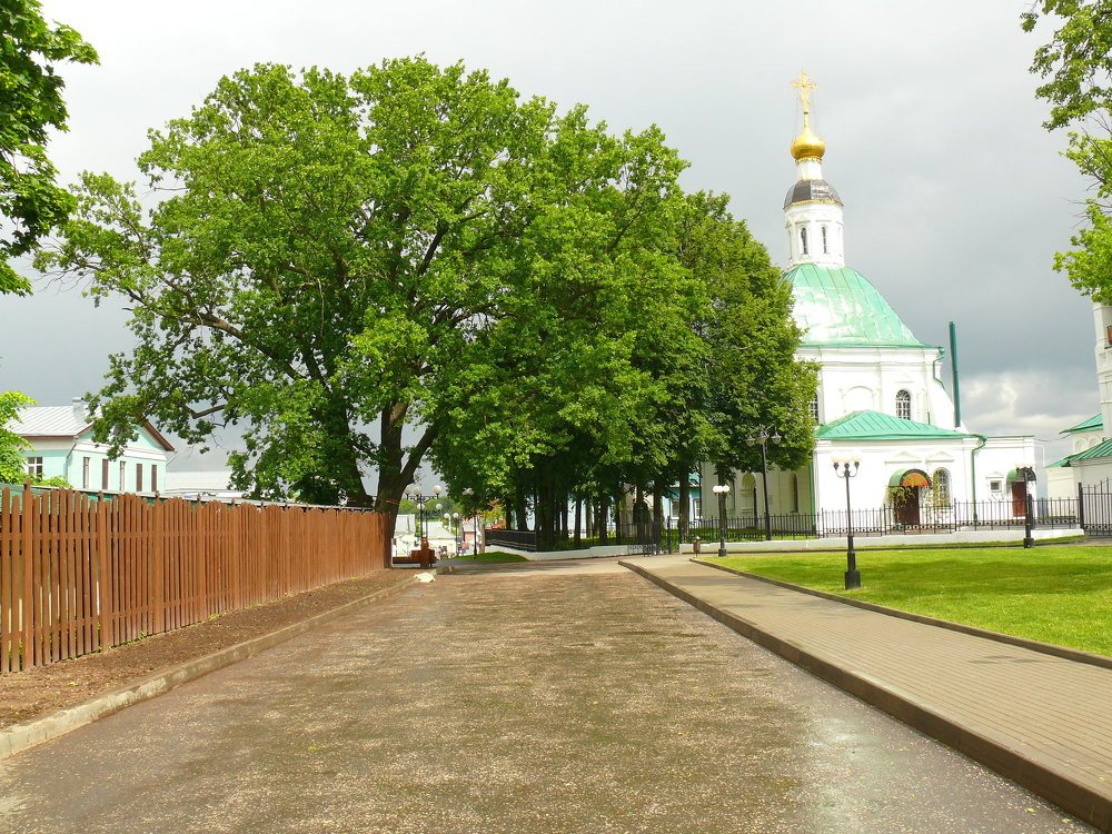 Памятник живой природы.