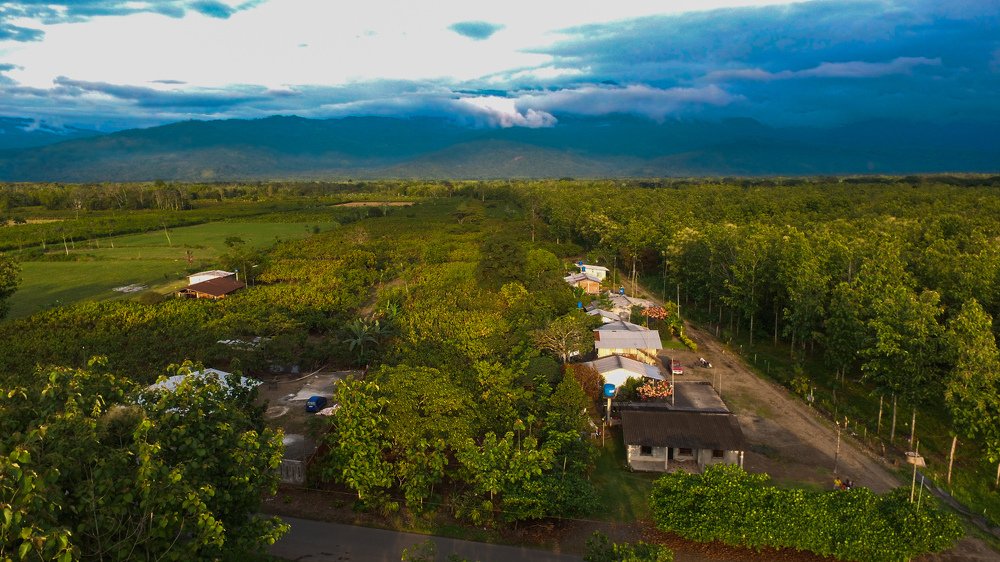 Эквадорская панорама