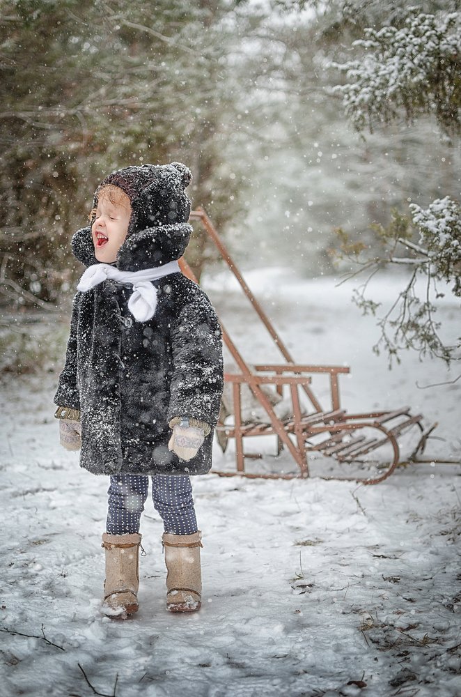 Photograph by Ольга Шейтер