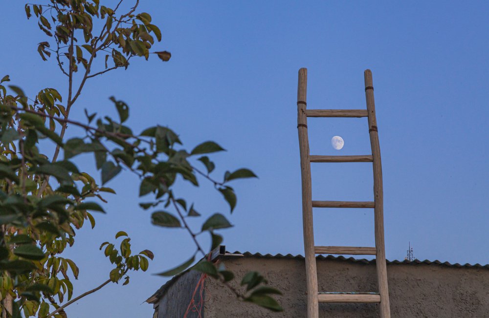 Photograph by Arman Mohammadi