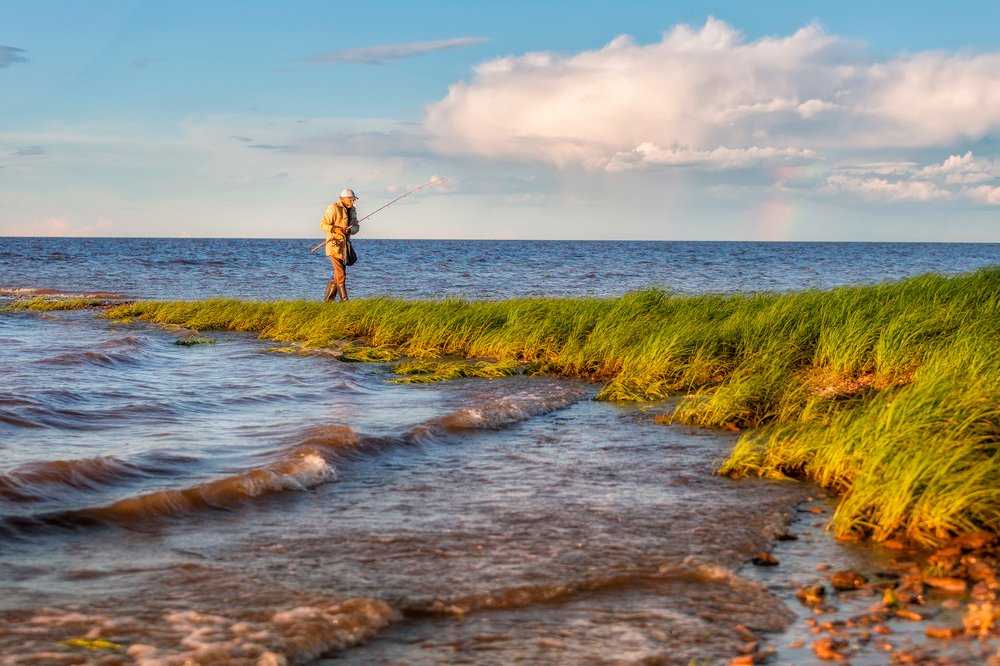 Photograph by Ekaterina Zimina