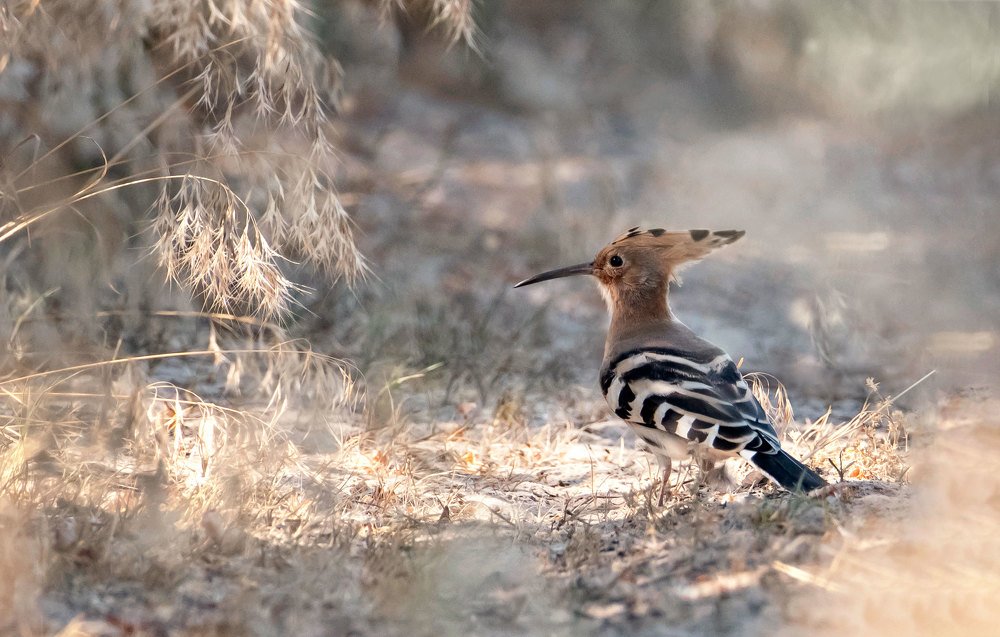 Photograph by Чернобай Анна
