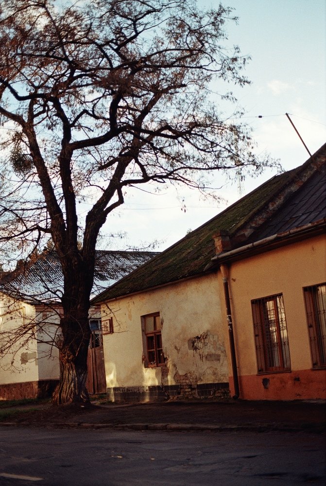 Photograph by Алена Новоженова