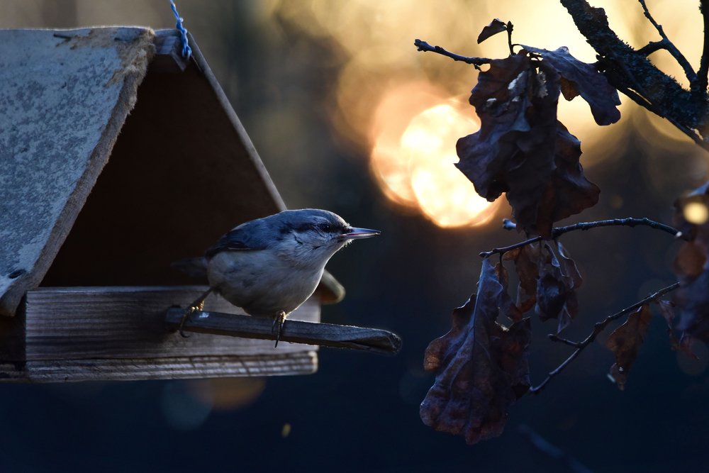 Photograph by Чернобай Анна