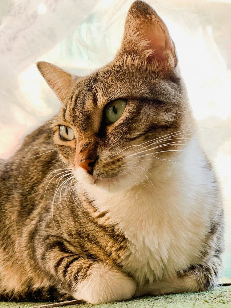 Photograph by yousef tarek