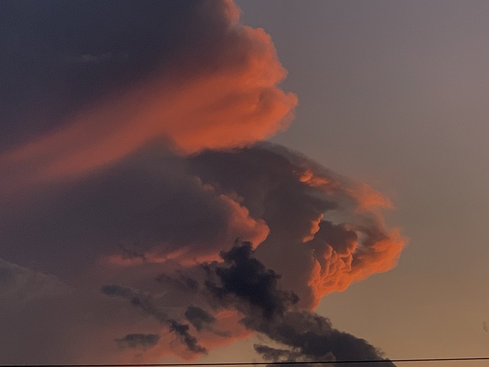 Photograph by Анастасия Бандрах