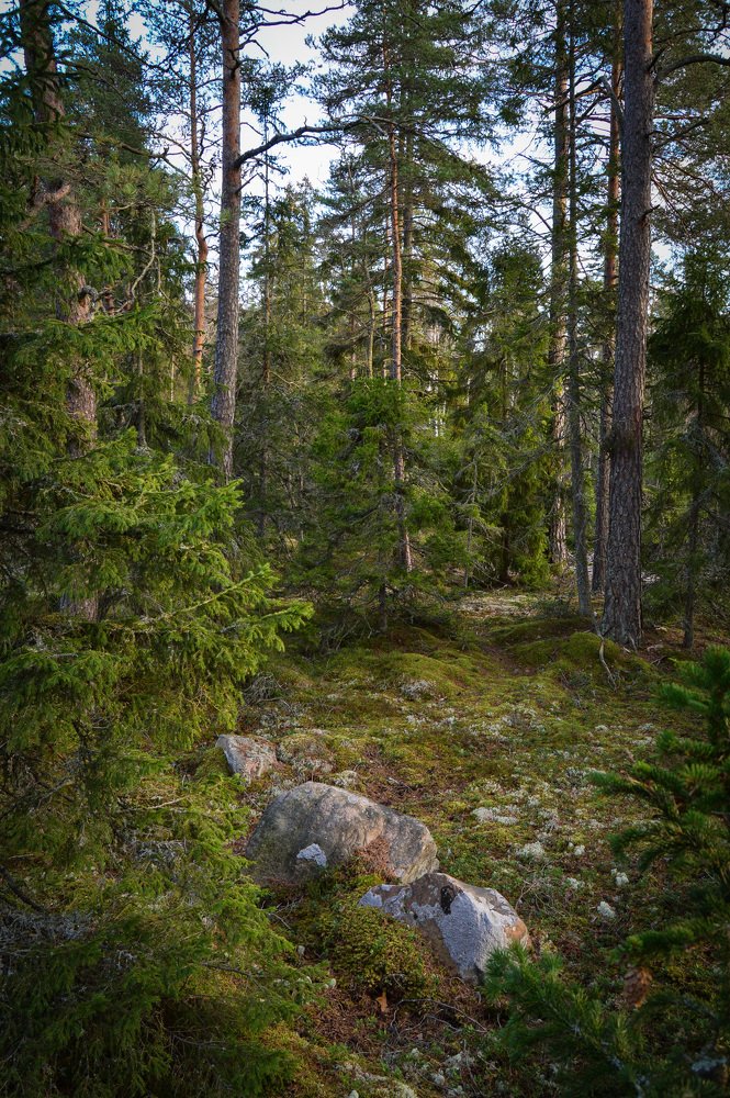 Photograph by Ivan Kotenko