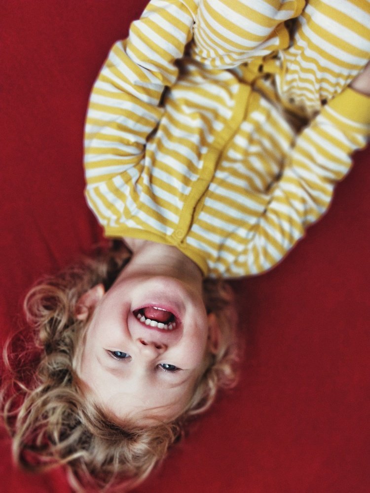 Photo #4420471